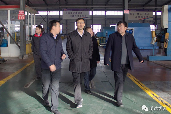 省市场监管局局长金洪钧调研乐玩国际