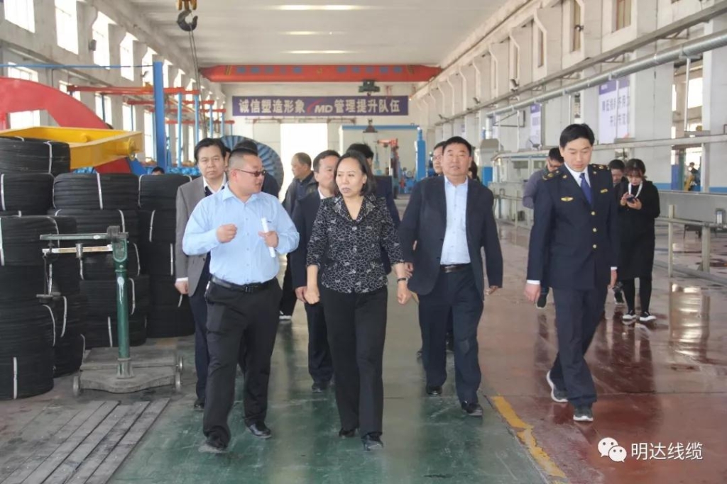 河北省市场监管局党组书记丁锦霞莅临乐玩国际考察调研