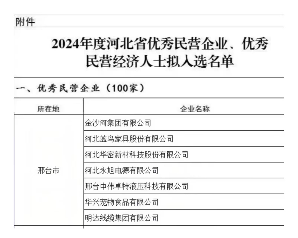 乐玩国际获评河北省优秀民营企业