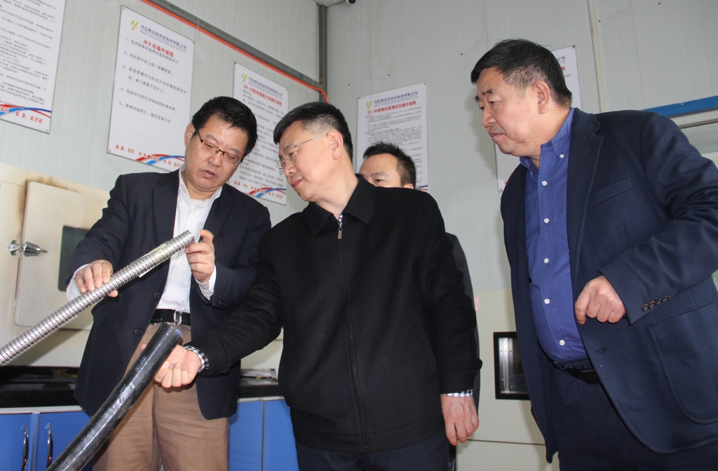 省市场监管局质量发展局局长国建峰考察乐玩国际